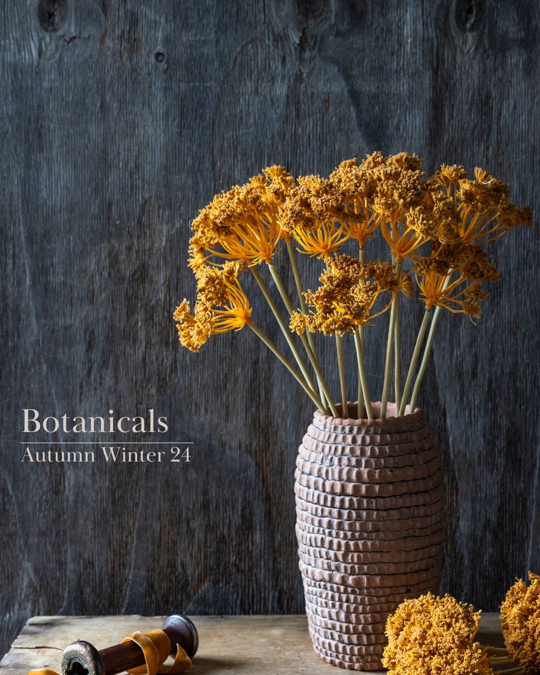 New Season Botanicals A/W 24