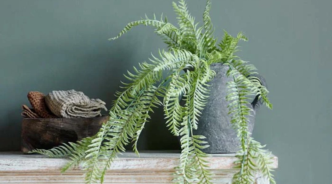 Abigail Ahern Ultimate Faux Plant Guide