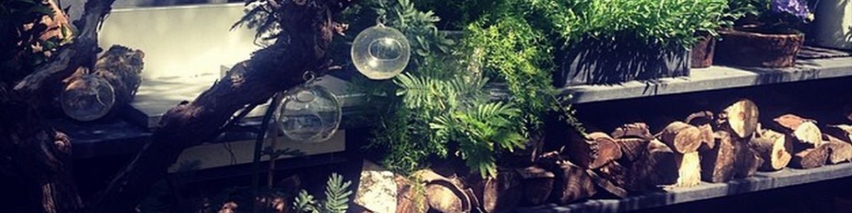 CREATING ROOMS OUTDOORS