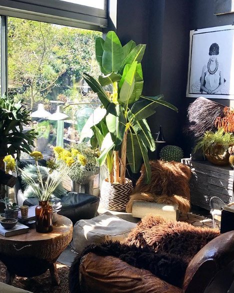 THESE THREE THINGS WILL TOTALLY TRANSFORM YOUR HOME!