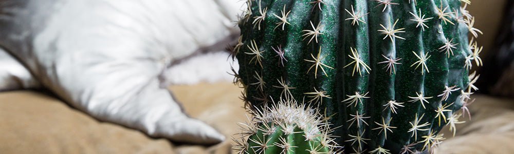 TOP TIPS FOR STYLING SURFACES
