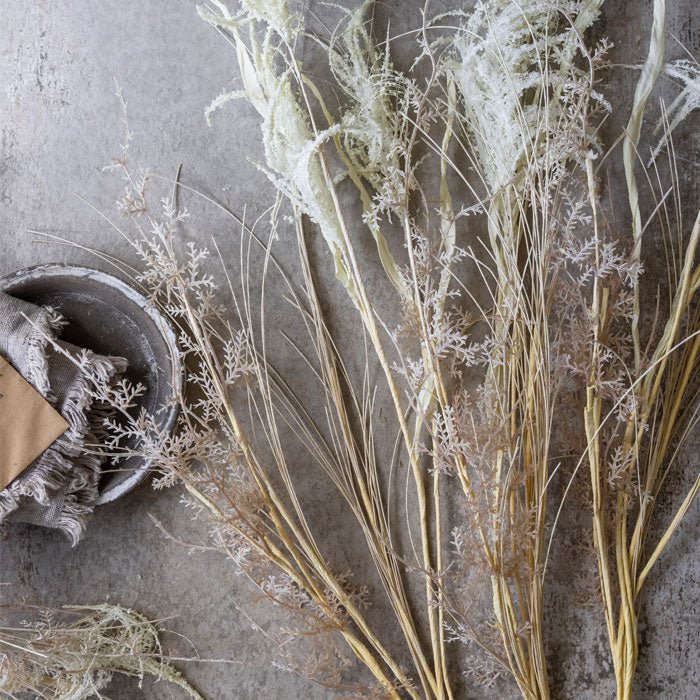 Grasses - Abigail Ahern