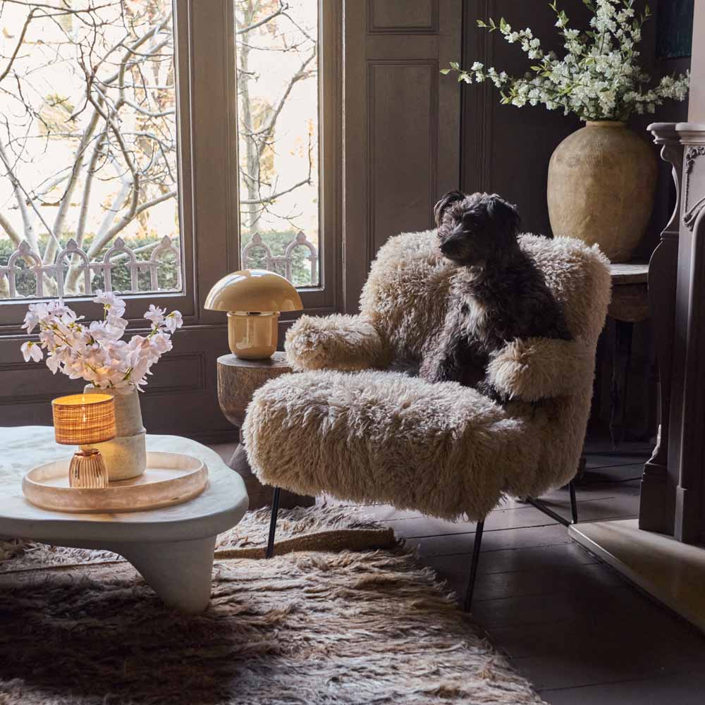 Living Room Looks: Ellsworth