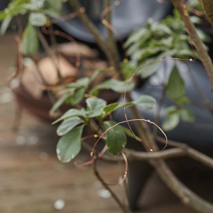 Copper String Lights