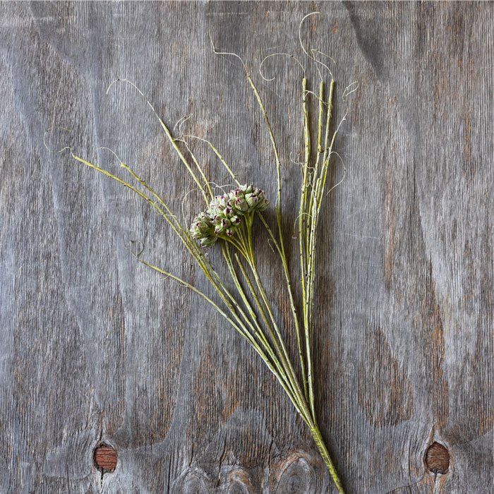 Artificial wild thistle green white faux fake flower stem botanical realistic Abigail Ahern