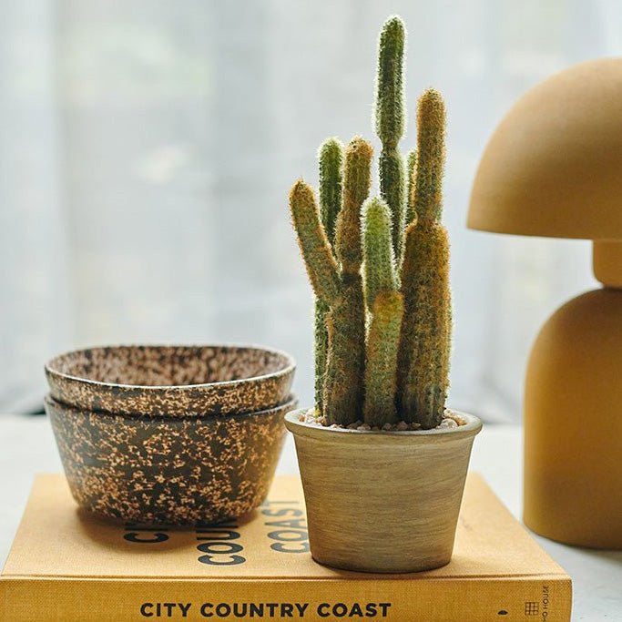 A small faux potted cactus next to some bowls on a yellow book.