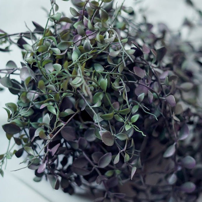 A faux purple and green trailing plant on a table.