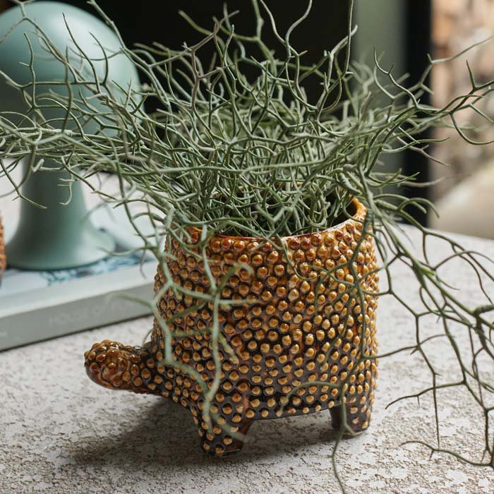 abigail ahern plant pots Tortoise Pot