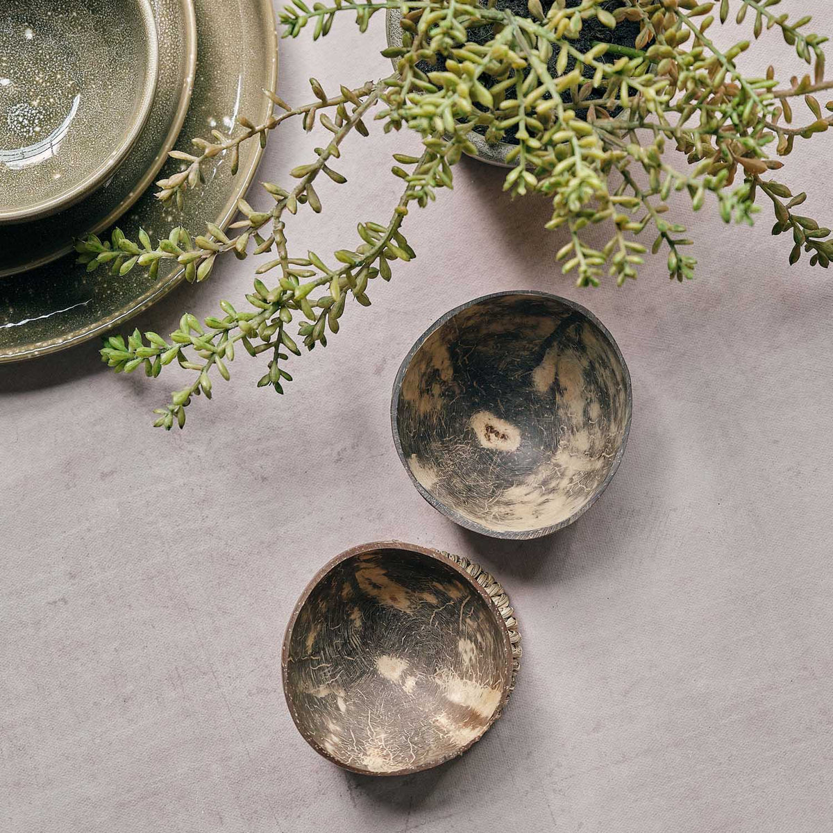 Havana Coconut Bowl