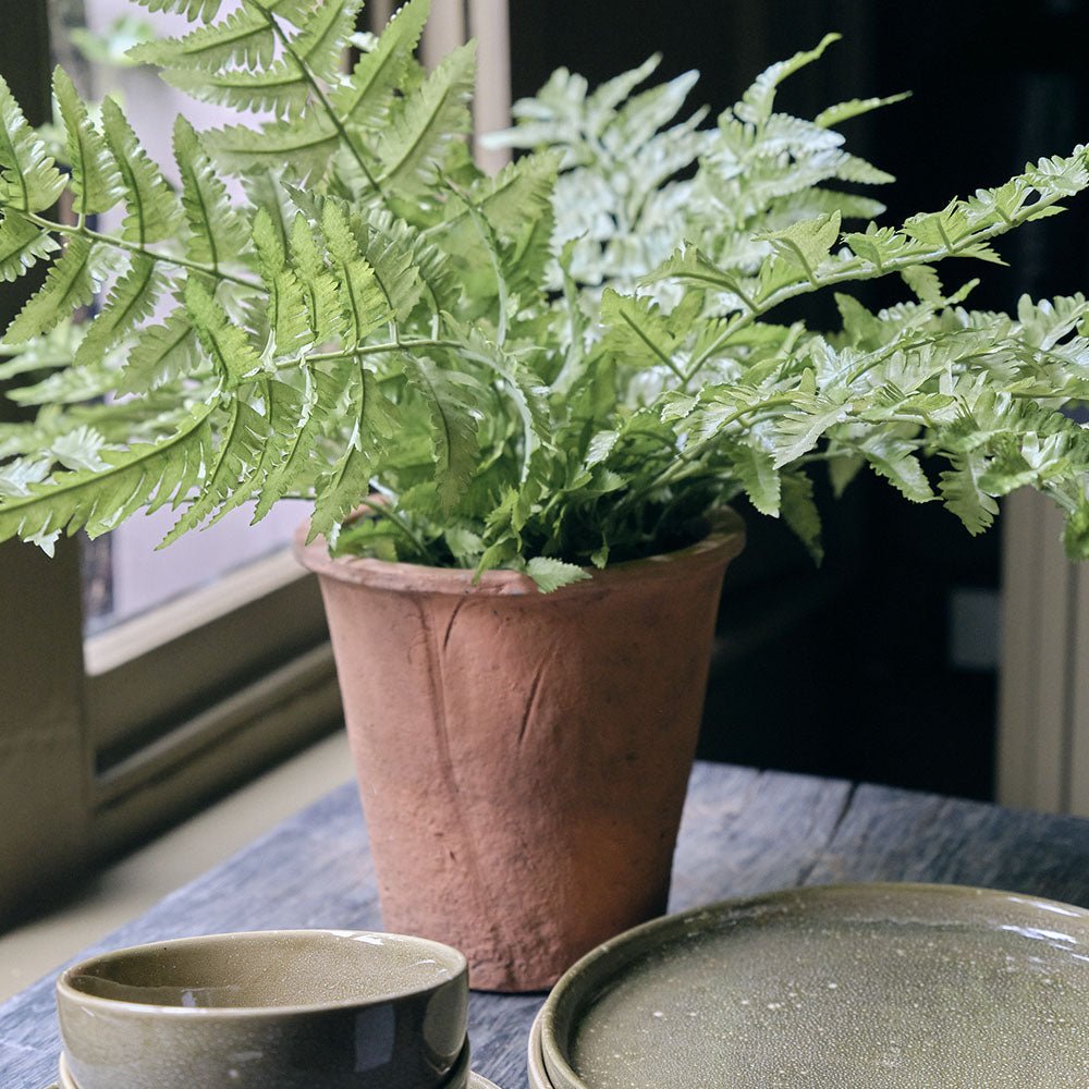 Artificial Fern in Terracotta Pot