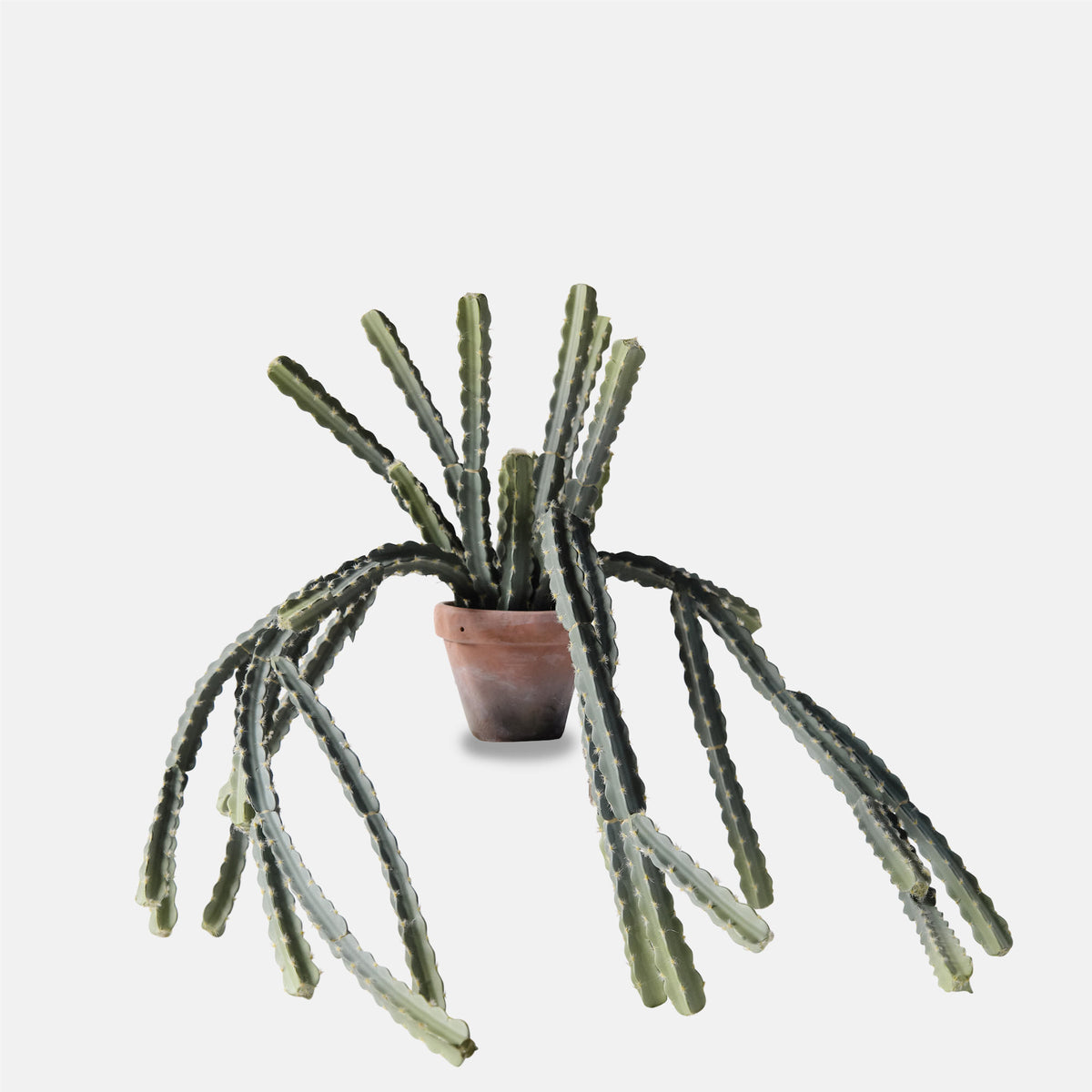 Artificial Trailing Hurricane Cactus