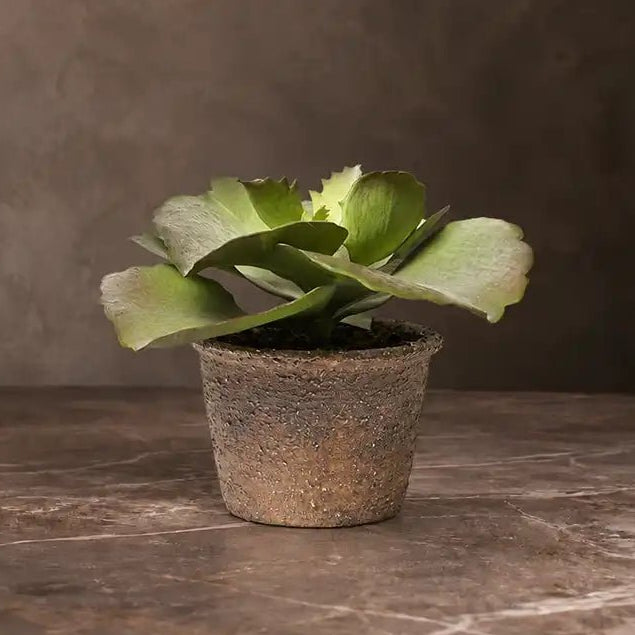 Artificial Echeveria Crinoline