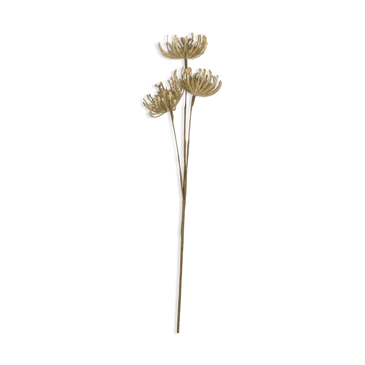 Artificial Leucospermum, Green