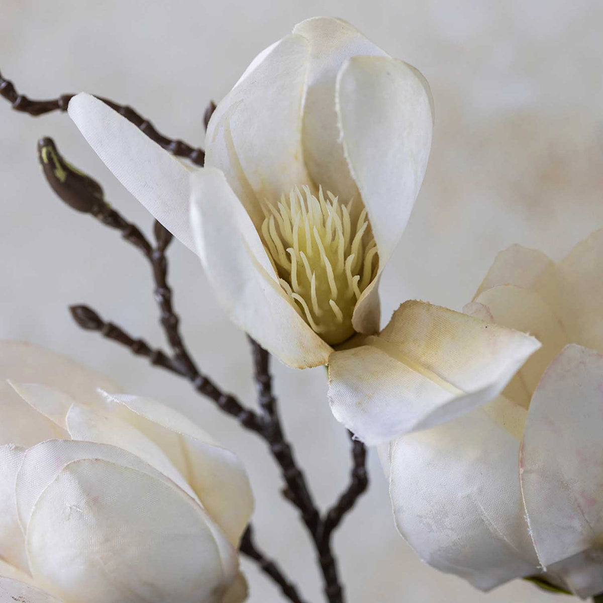 Artificial Magnolia
