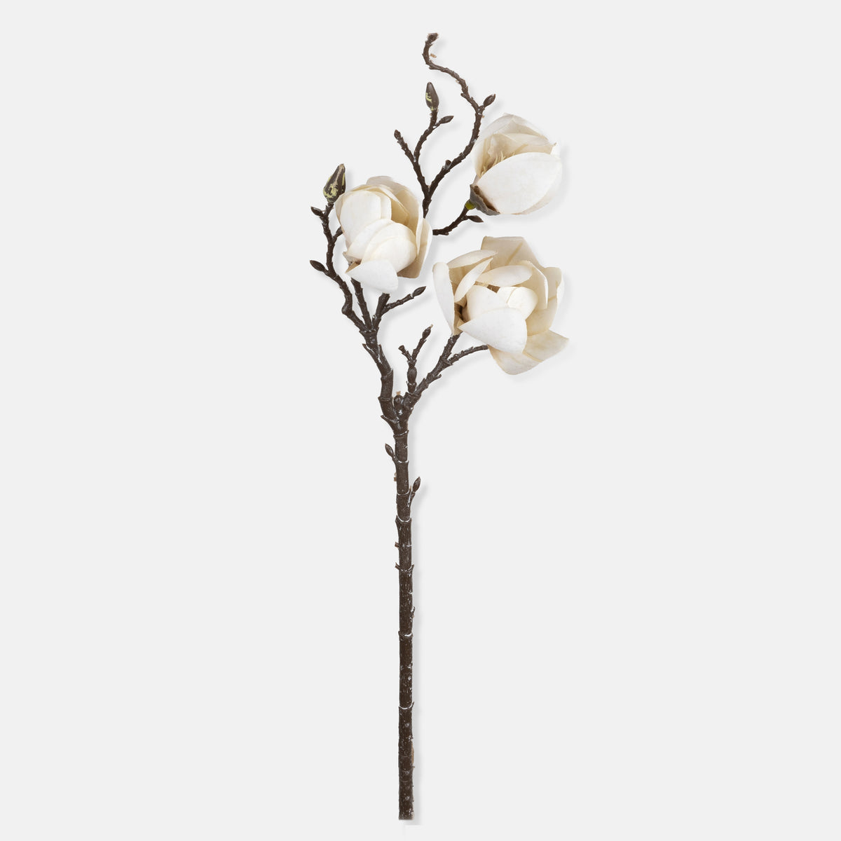 Artificial Magnolia