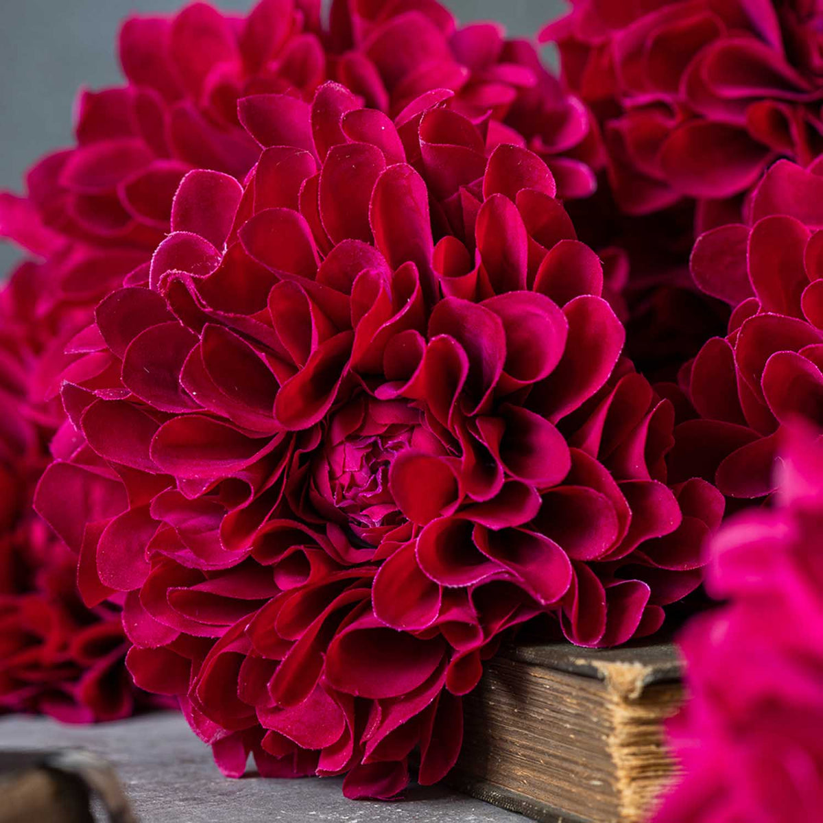 Artificial Real Touch Dahlia, Ruby - Large