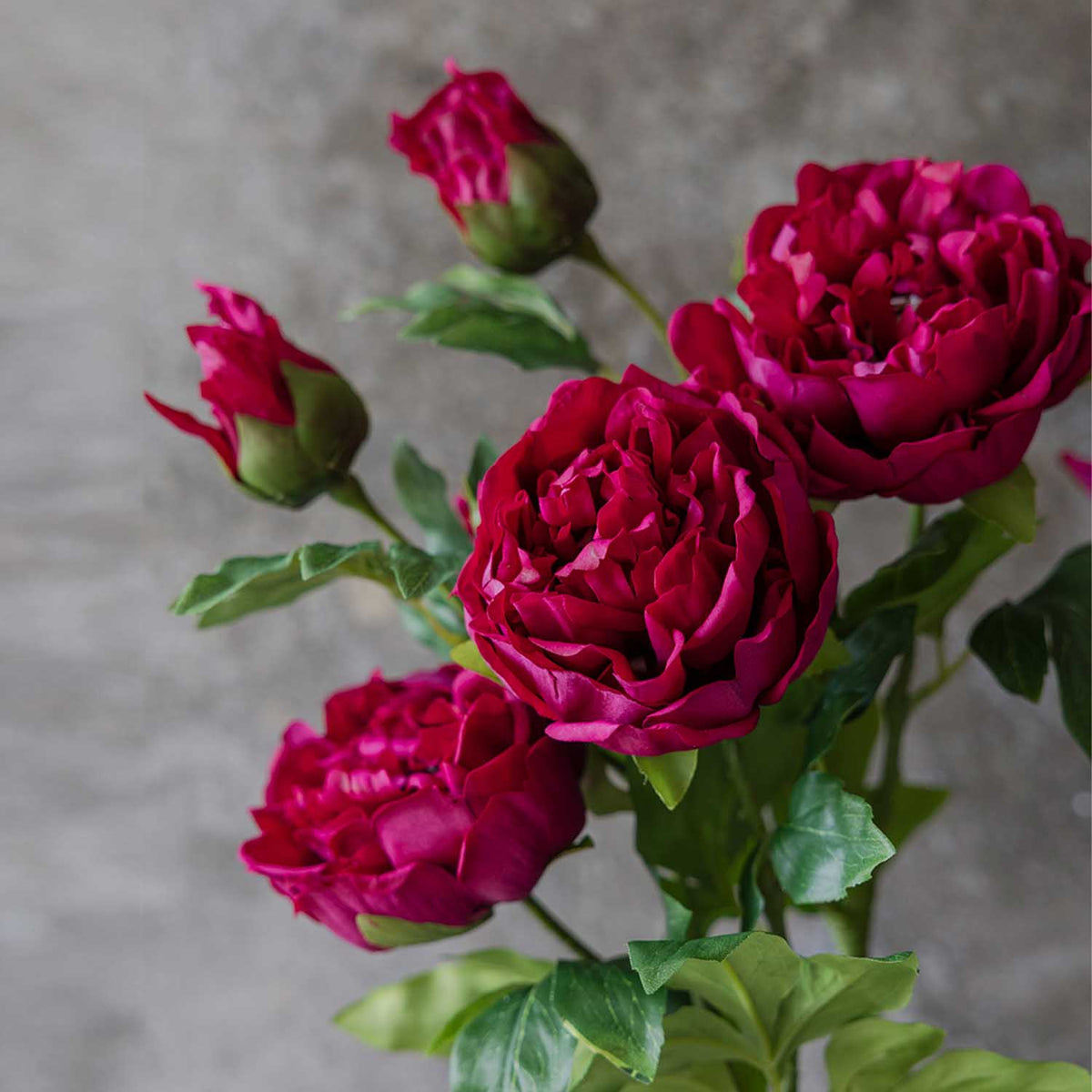 Artificial Real Touch Peony, Ruby