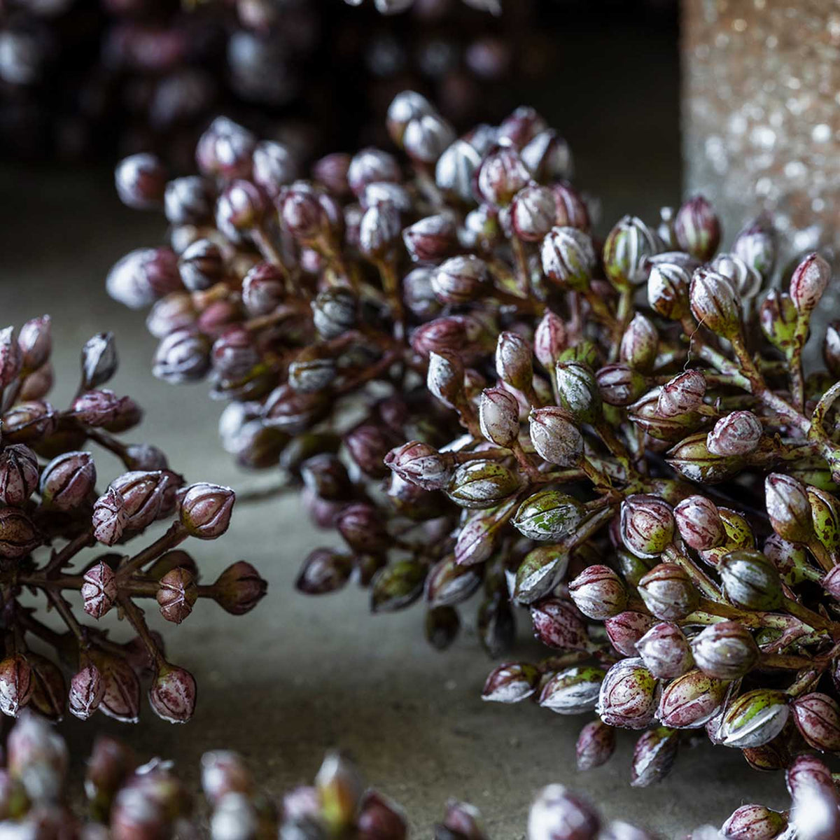 Artificial Sorghum Sunrise