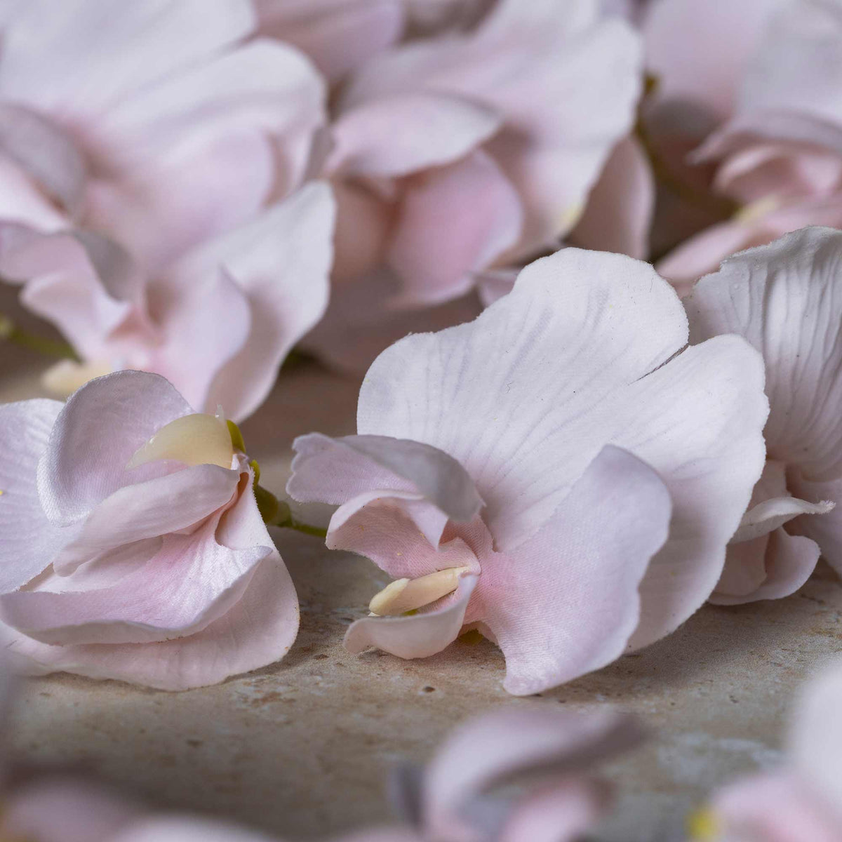 Artificial Sweet Pea