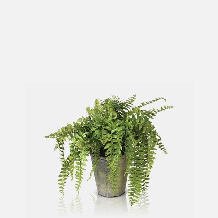 Artificial Boston Fern in Pot