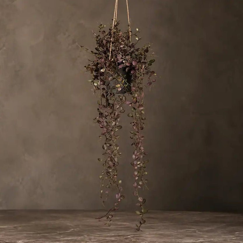 Artificial Trailing Dischidia in Pot