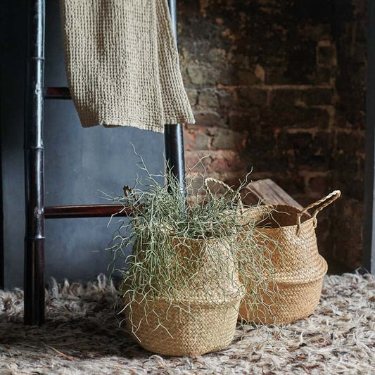 Two natural woven seagrass baskets, in different sizes, with handles.
