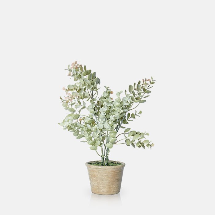 Cutout on a white background of a small green faux eucalyptus plant in a brown pot.