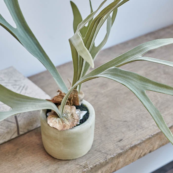 Artificial Staghorn Plant