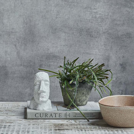 Artificial green trailing cactus planted in a grey pot sat on a book next to a white bust