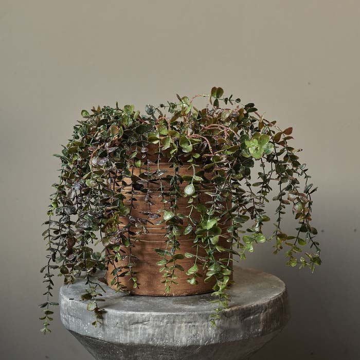 Artificial eucalyptus trailing branch faux fake foliage botanical realistic home decor arrangement