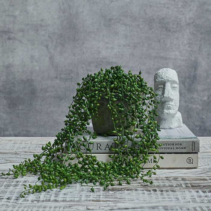 Artificial string of pearls trailing potted faux fake plant green succulent realistic home decor