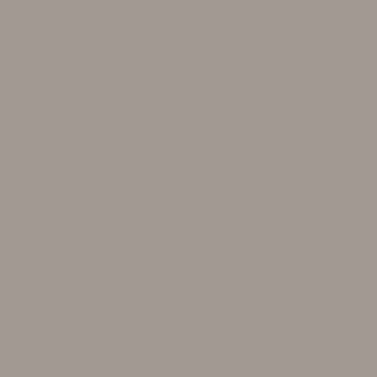 Anise Greige Paint