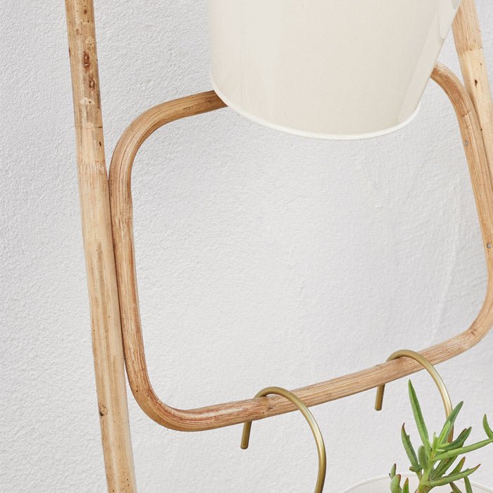 The Arden Bamboo Ladder, a small delicate ladder in light bamboo holding a white bucket containing a cactus.