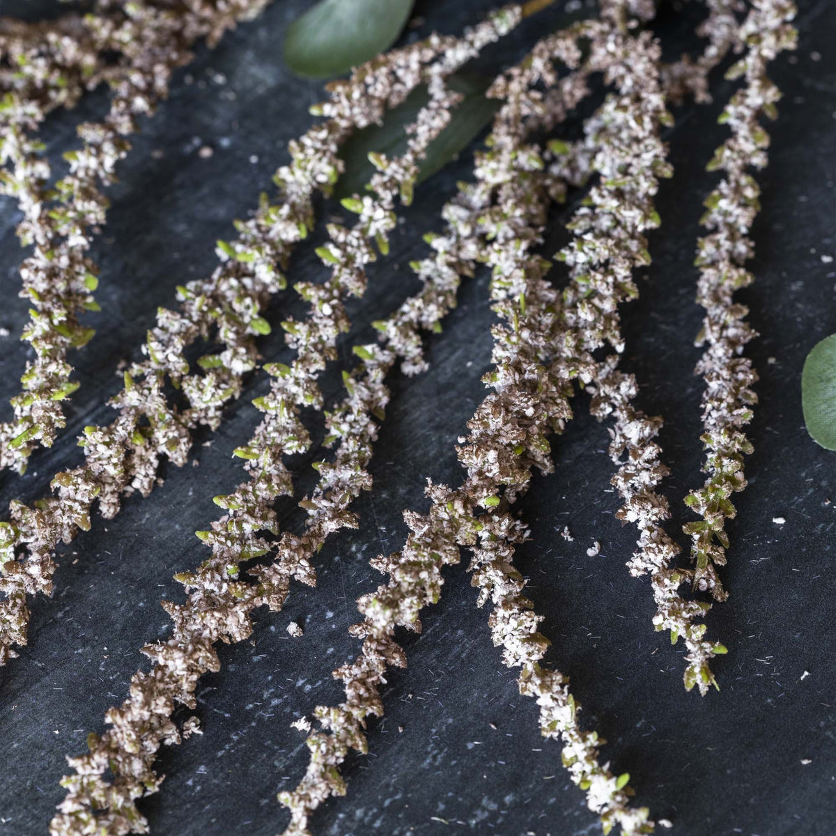 Artificial Amaranthus, Blush