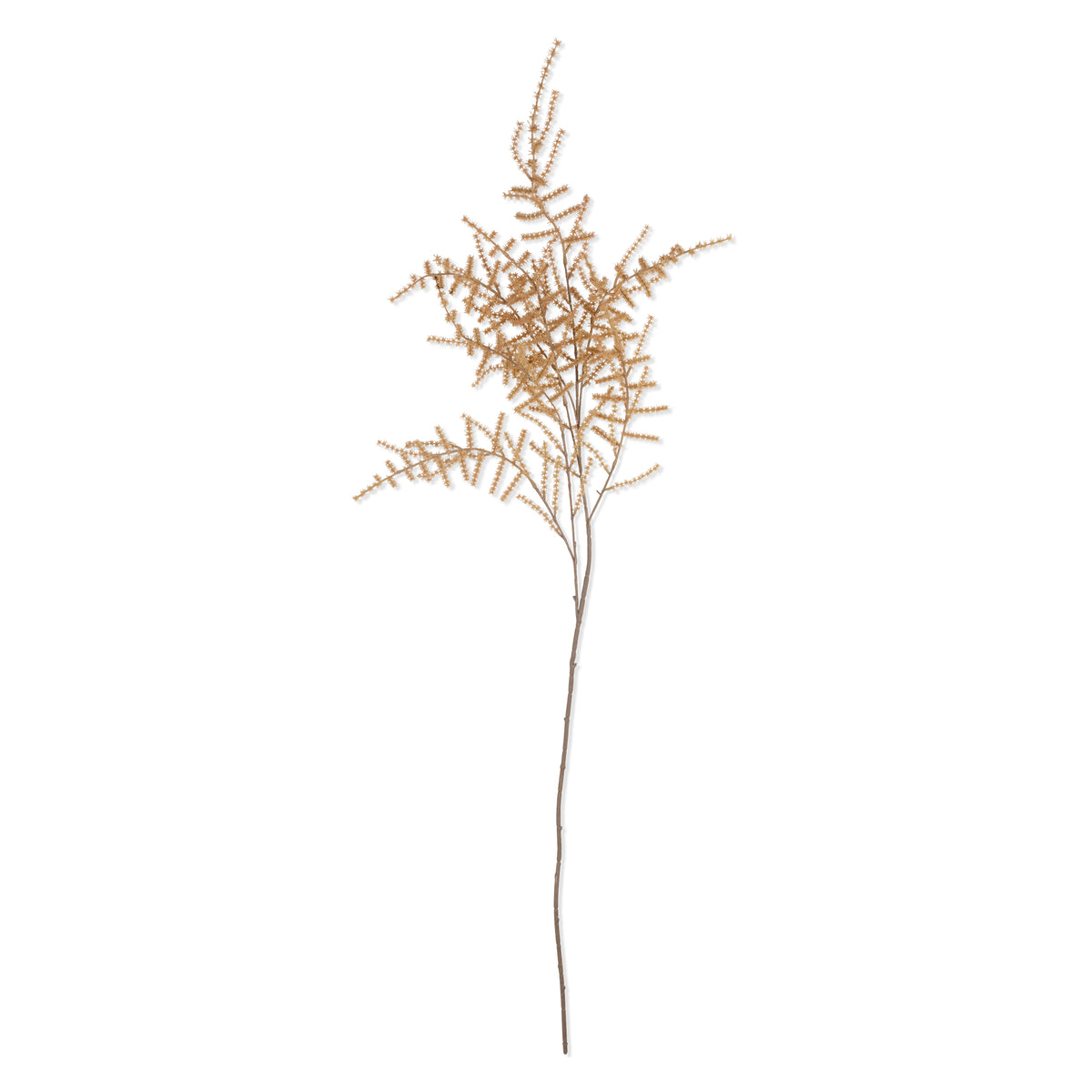 Artificial Asparagus Fern, Desert