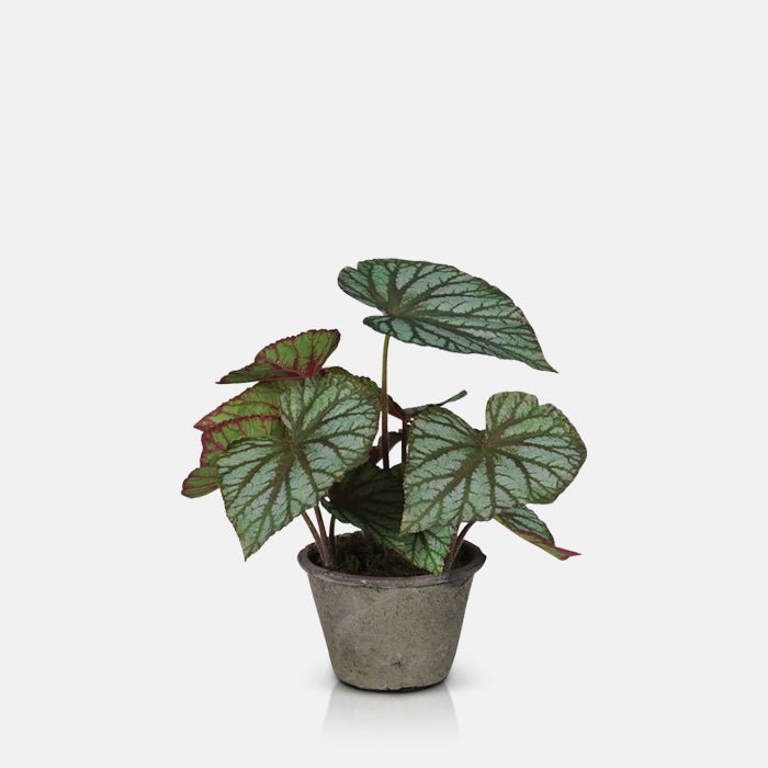 A cutout of the Artificial Begonia in Pot, an ultra realistic faux potted plant in deep green and red hues.