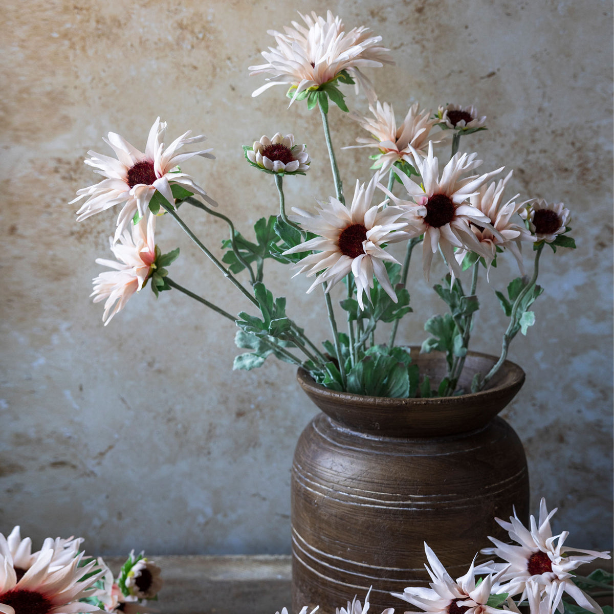 Artificial Chrysanthemum, Blush