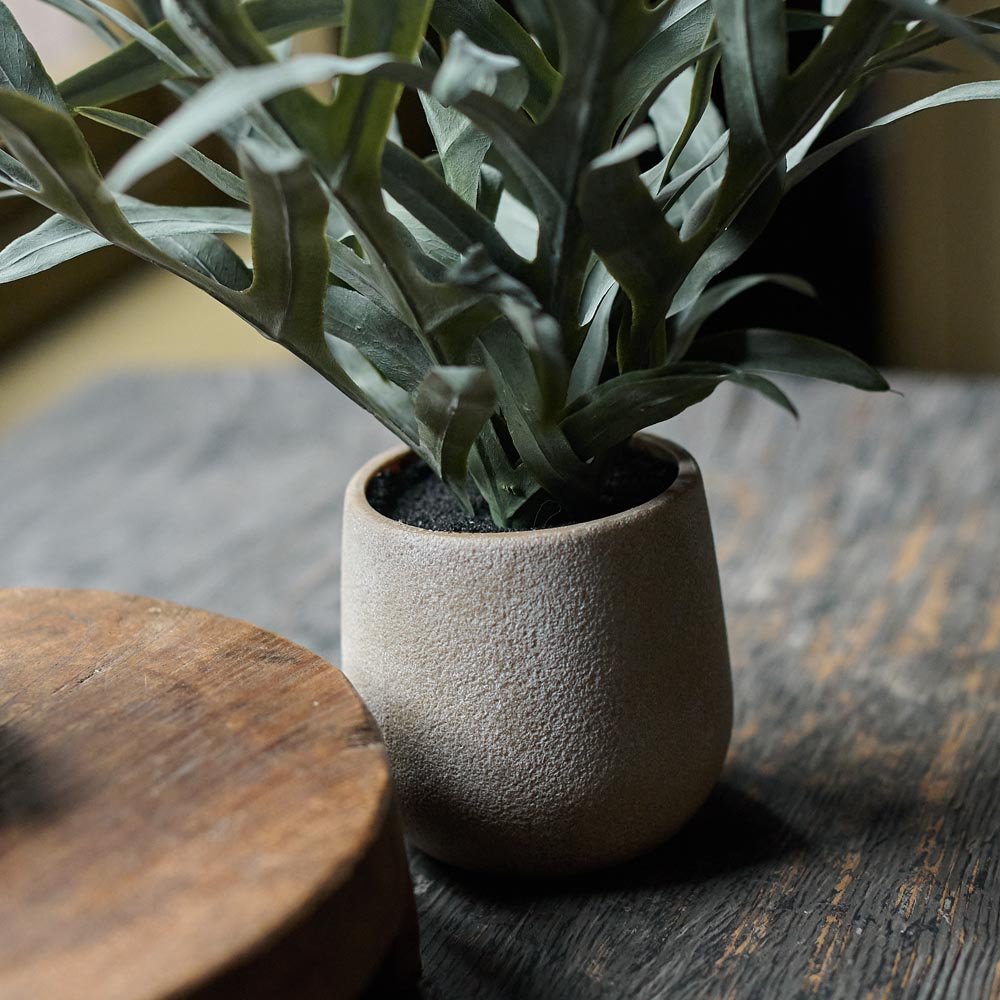 Artificial Eucalyptus in Pot