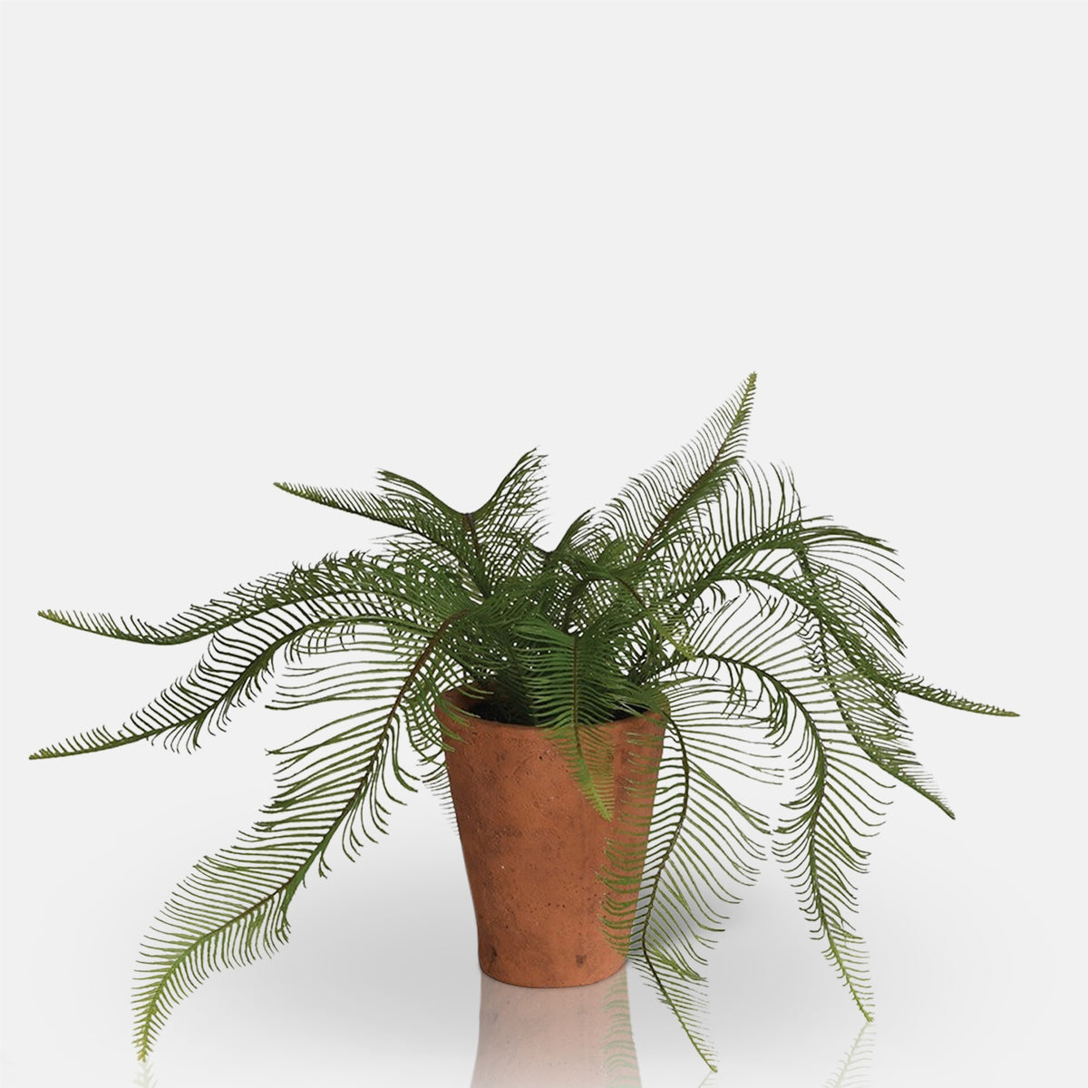 Artificial Fern in Clay Pot