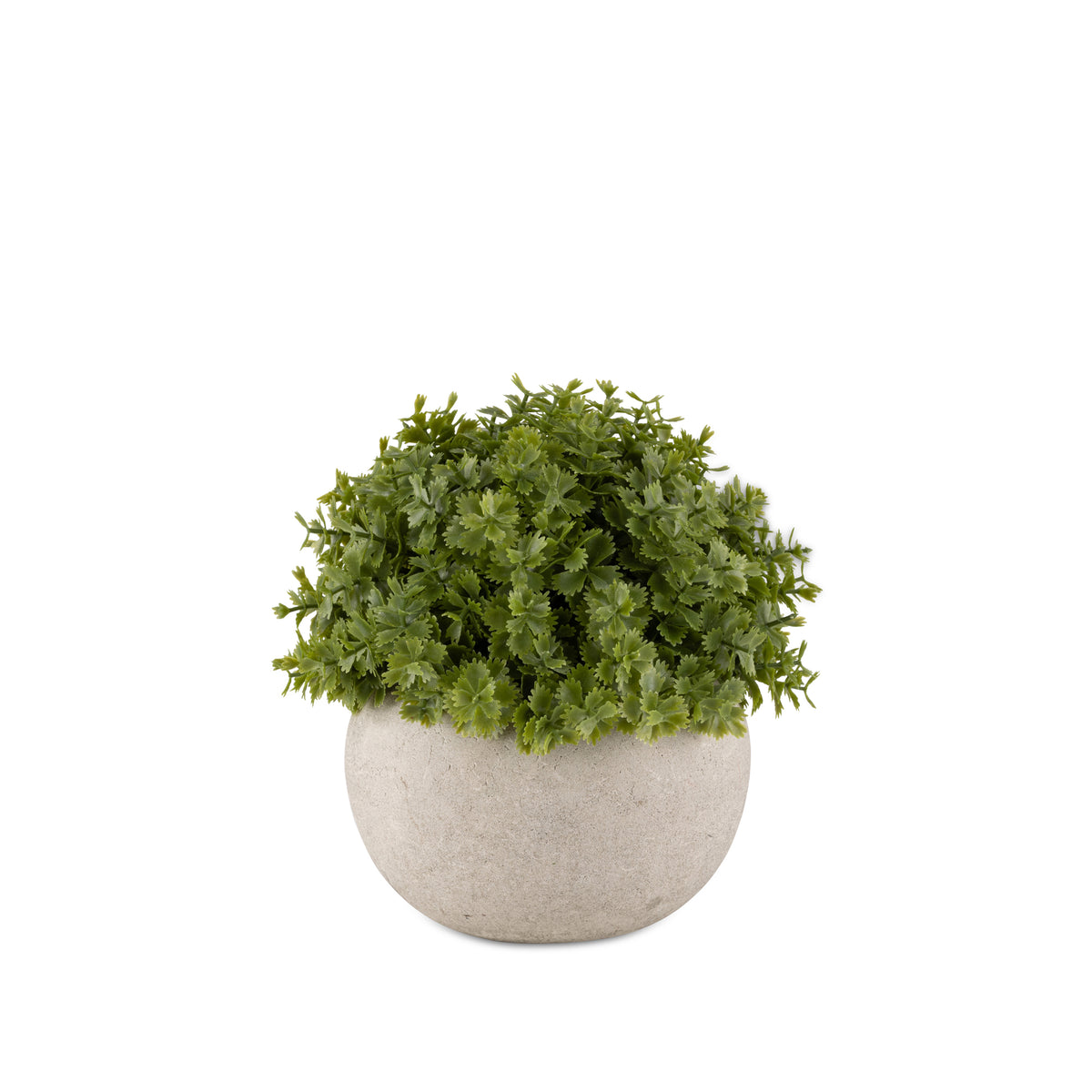 Artificial Hebe Plant in Pot