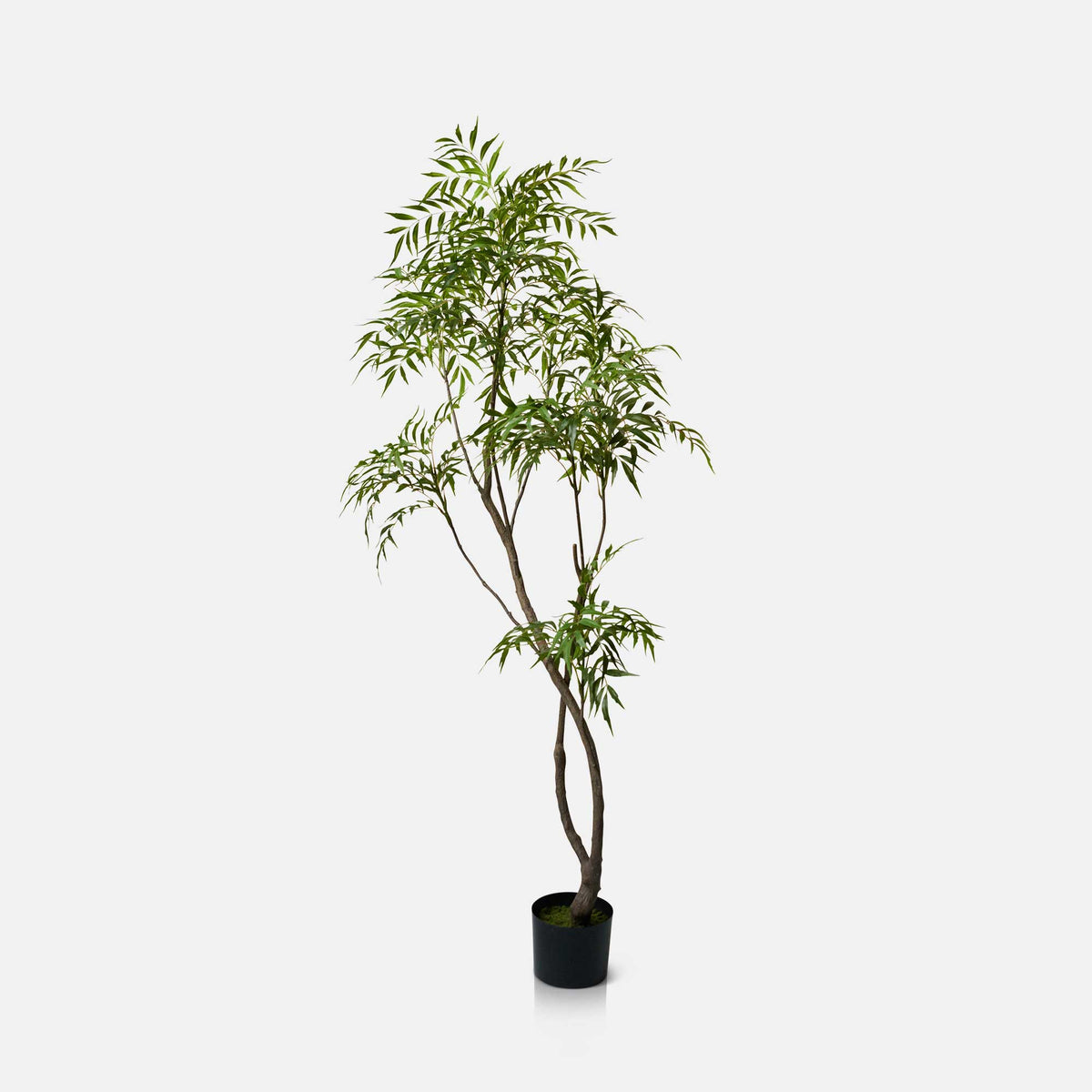 Artificial Parlour Palm