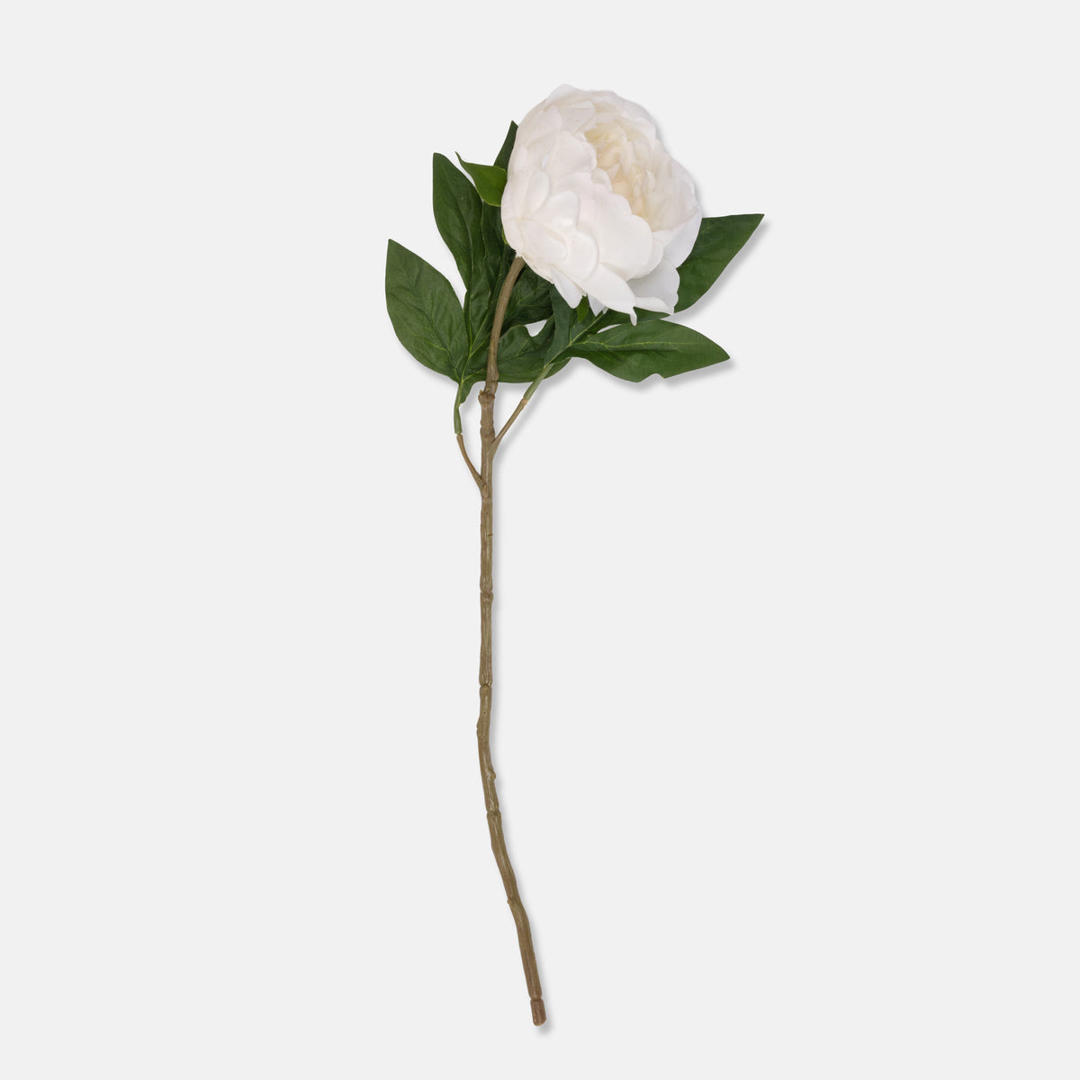 Artificial Real Touch Peony, White