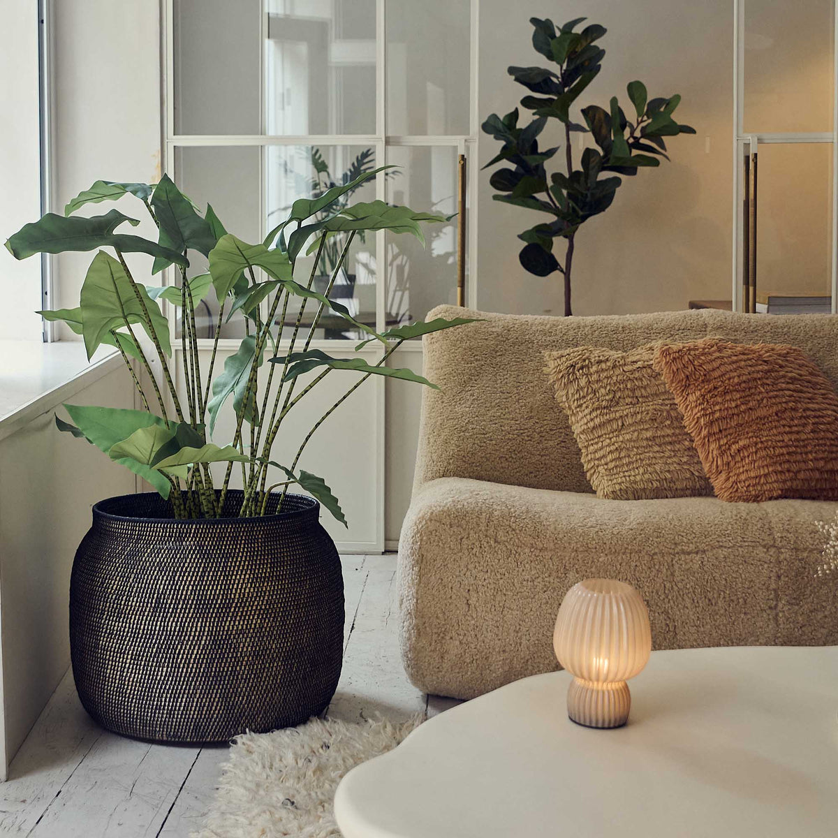Artificial Potted Zebra Plant - Large