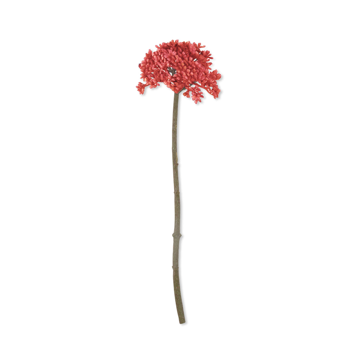 Artificial Sedum, Coral