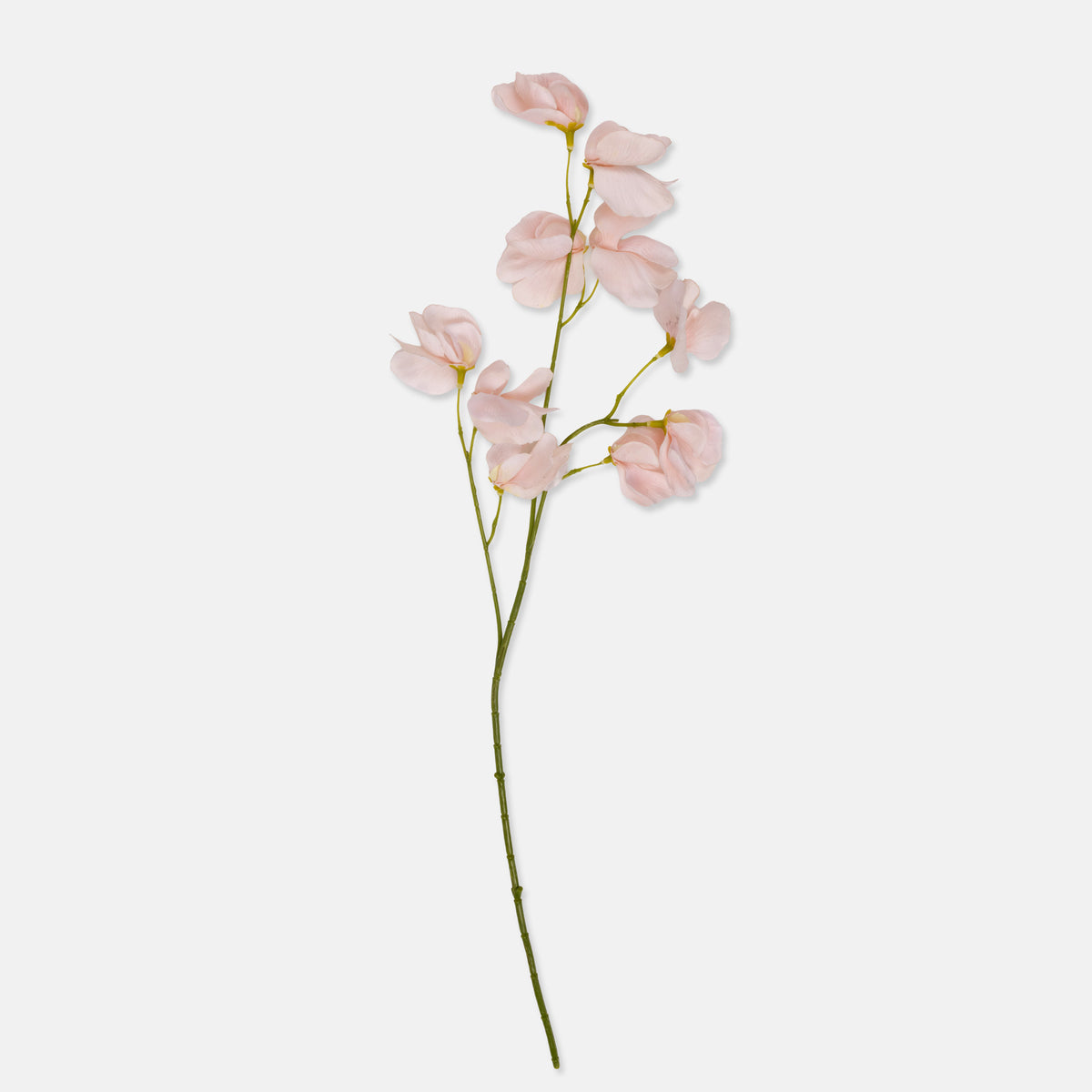 Artificial Sweet Pea