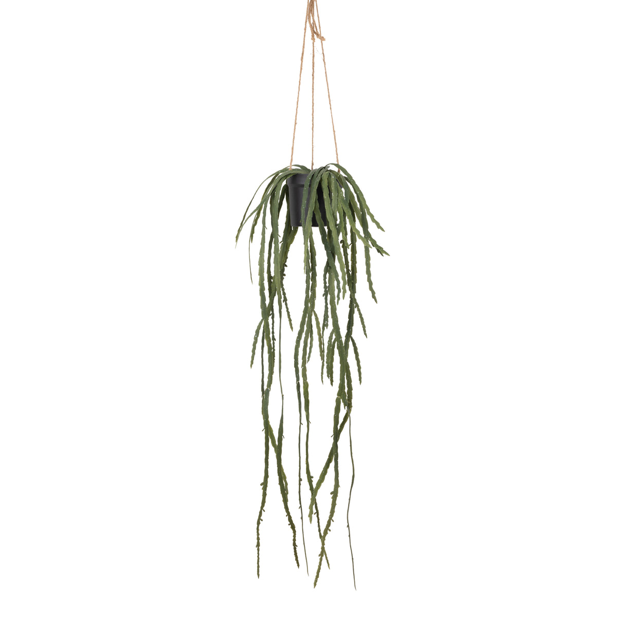 Artificial Trailing Cactus