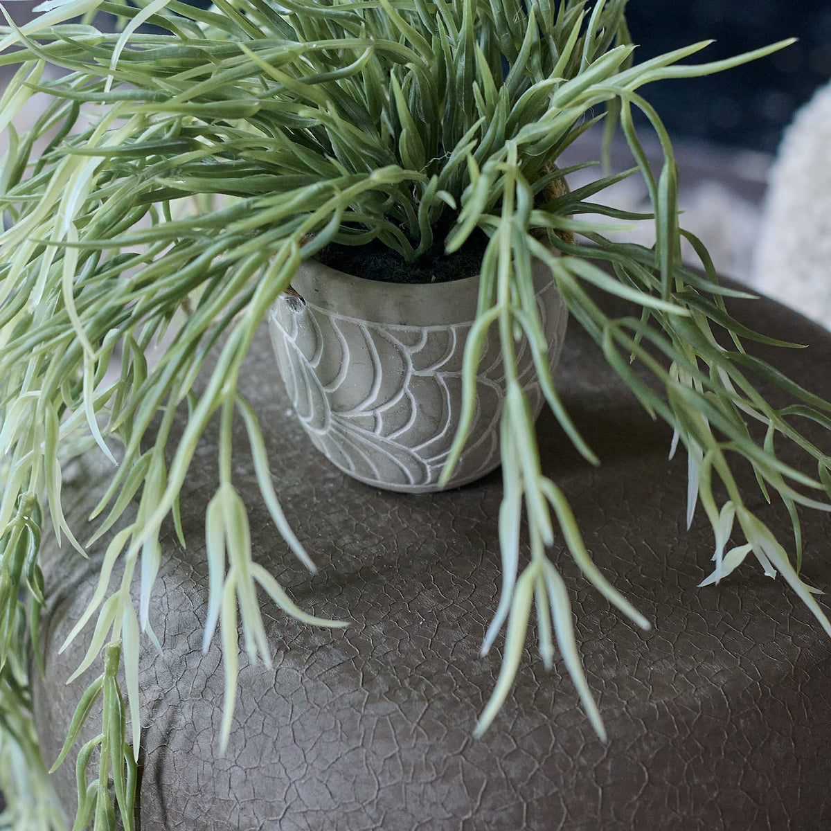 Artificial Trailing Horsetail