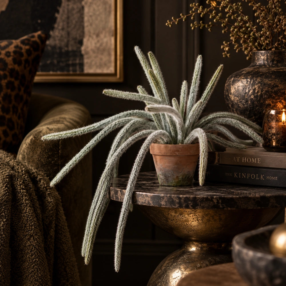 Artificial Trailing Monkey Tail Cactus with arching green stems and soft white spines in a terracotta pot beside a sofa, books and glowing candle.