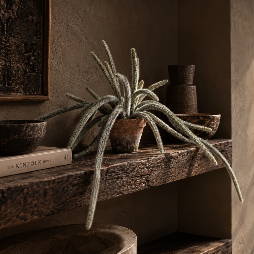 Artificial Trailing Monkey Tail Cactus with long green stems and fine white spines in a weathered terracotta pot, styled on a rustic wooden shelf.