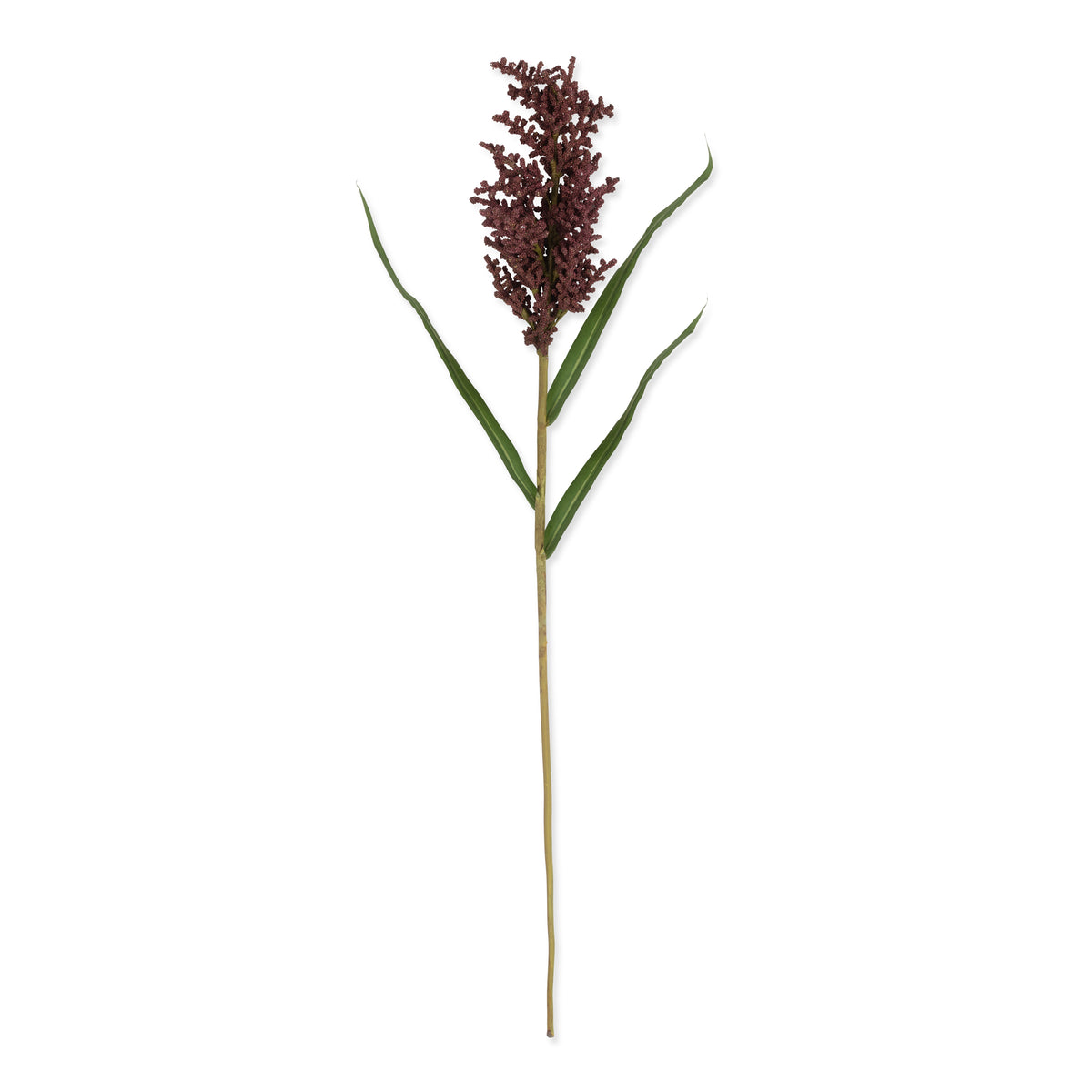 Artificial Wetland Heirloom